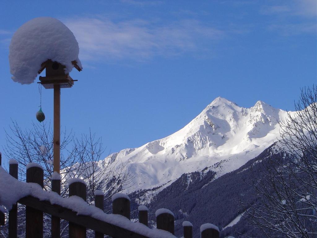 Apartmán Haus Harbauer Neustift im Stubaital Exteriér fotografie